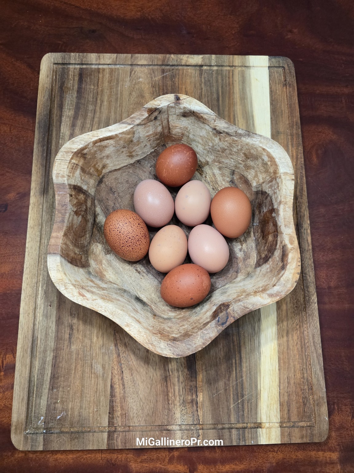 Selección reciente de huevos marrones y pintos