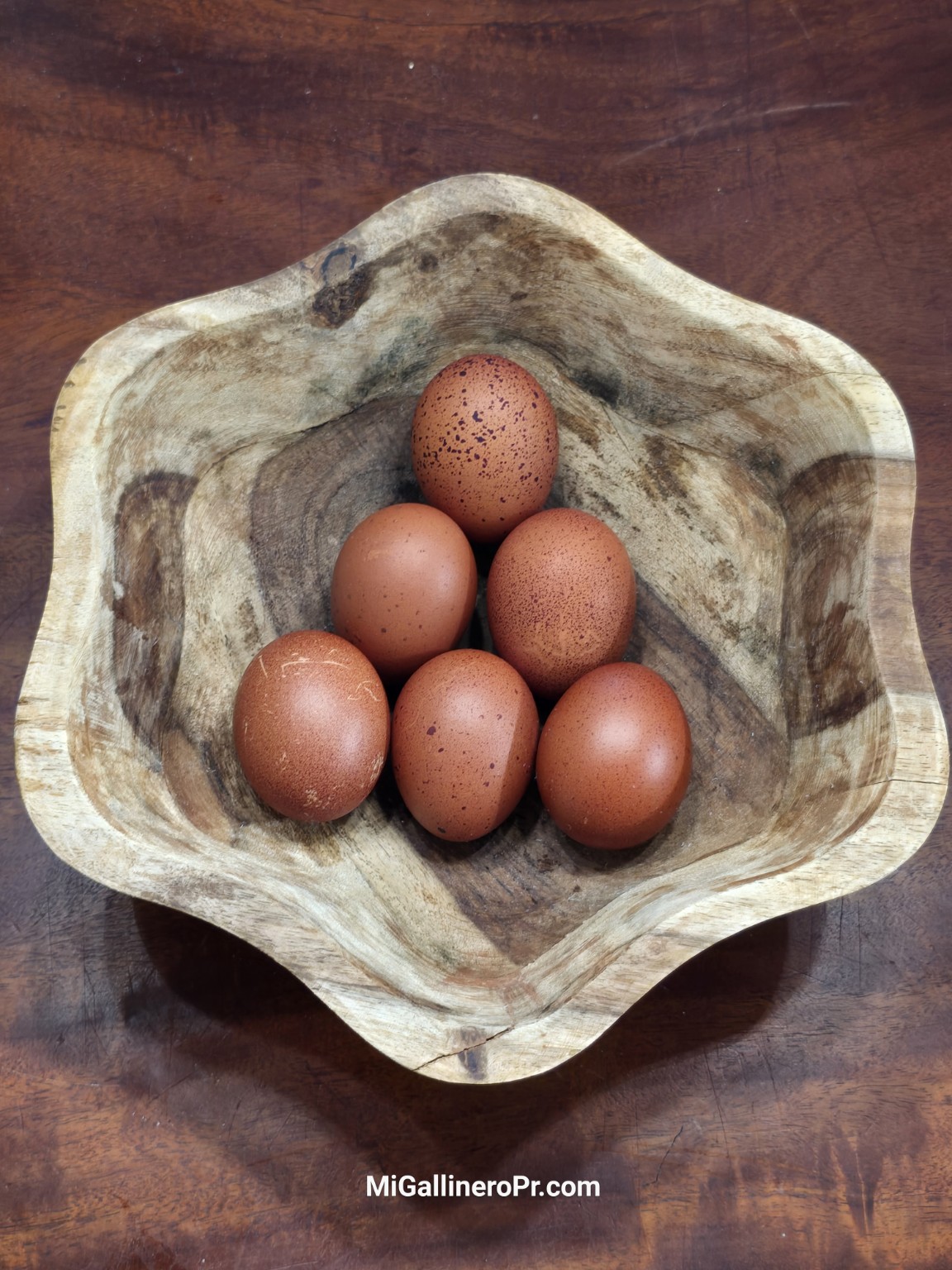 Huevos marrones y pintos de nuestra colección